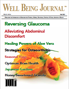 Cover of Well Being magazine